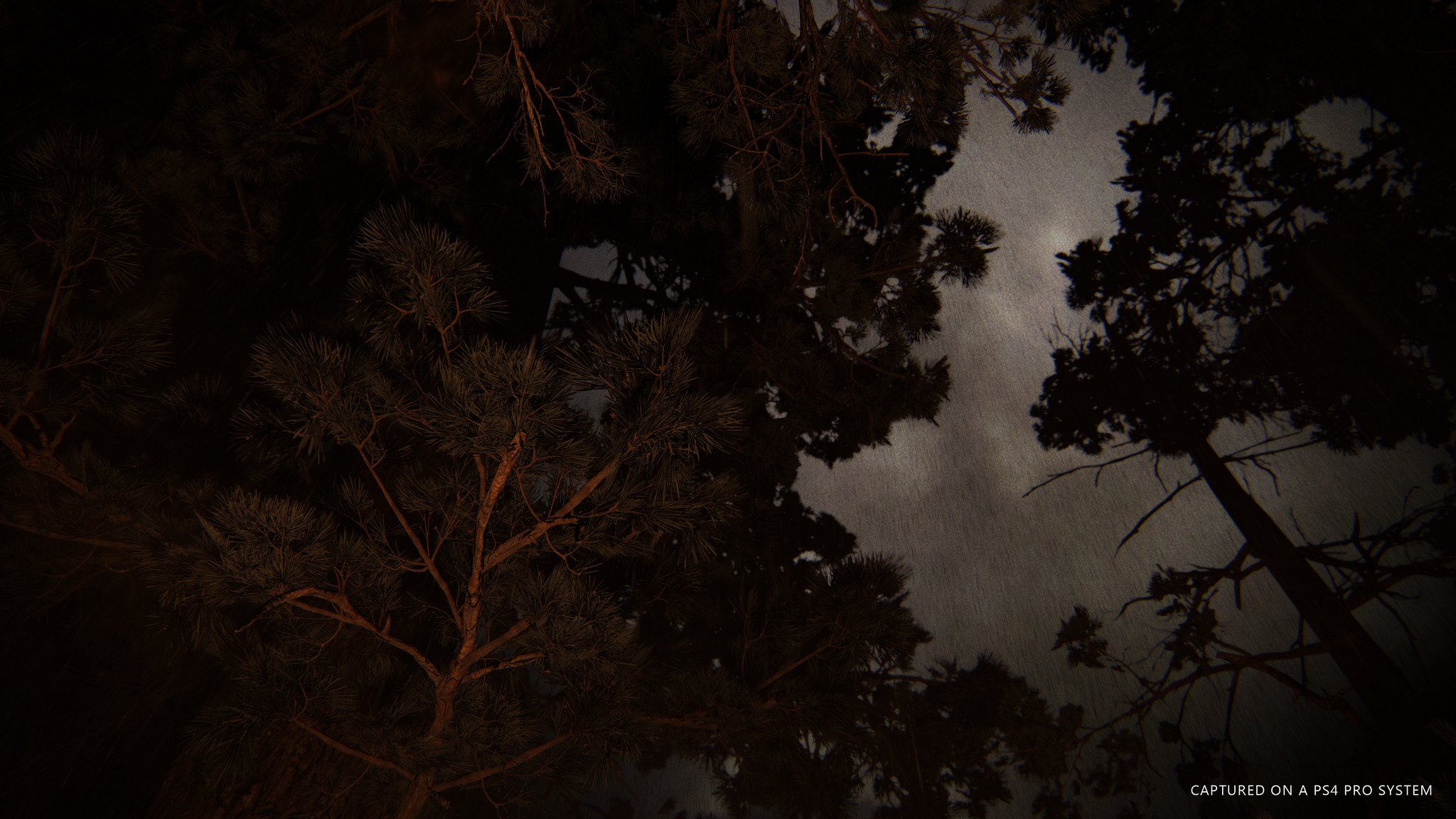 The Last of Us: Parte II - Imagen 8